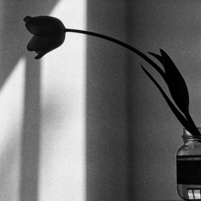 FOTOGRAFIA GIAN CARLA FARALLI ' DIALOGO INTERNO # 19 ' dimensioni L 40 x H 30 cm.