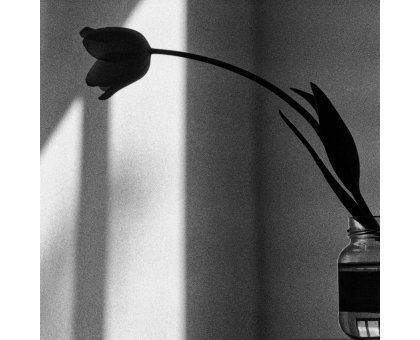 FOTOGRAFIA GIAN CARLA FARALLI ' DIALOGO INTERNO # 19 ' dimensioni L 40 x H 30 cm.