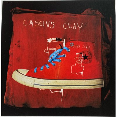 FOTOGRAFIA BEPPE AMEGLIO ' CASSIUS CLAY ' dimensioni L 30 x H 30 cm.