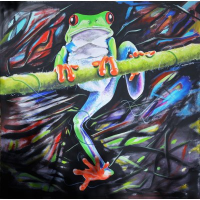 ACRILICO SU TELA ANDREA MELIS ' LA PERPLESSITA' DELLA RANOCCHIA ' dimensioni L 100 x H 100 cm.