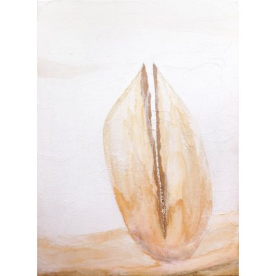 COLLAGE SU TELA LUISA PINERI ' SEME ' dimensioni L 50 x H 35 cm.