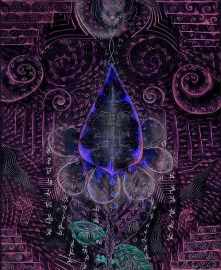 DIGITAL ART  SIMONE  SCHIAVO ' DAISY '  dimensioni L 50 x H 50 cm.