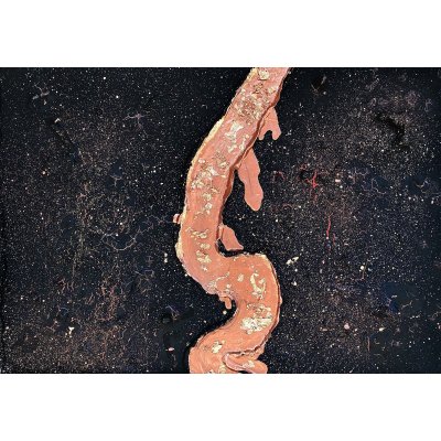 MIXED MEDIA SU TELA ANNARITA PANCINI ' KRAKATOA ' dimensioni L 50 x H 70 cm.