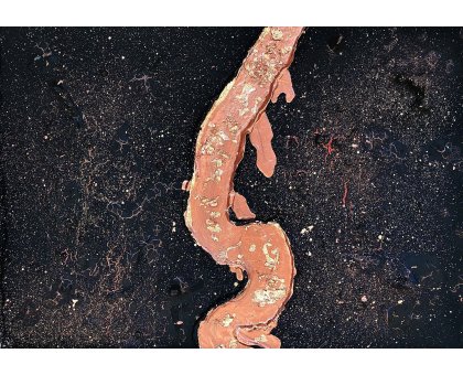 MIXED MEDIA SU TELA ANNARITA PANCINI ' KRAKATOA ' dimensioni L 50 x H 70 cm.