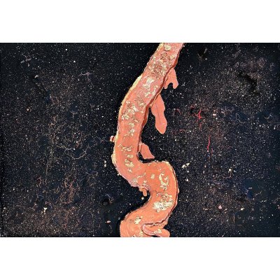 MIXED MEDIA SU TELA ANNARITA PANCINI ' KRAKATOA ' dimensioni L 50 x H 70 cm.