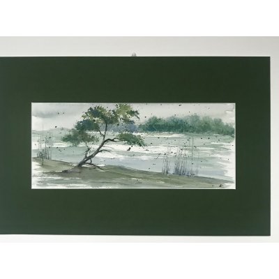 ACQUERELLO SU CARTA ARCHES JESSICA MARIANI ' L 'ALBERO SOLO ' dimensioni L 58 x H 38 cm.