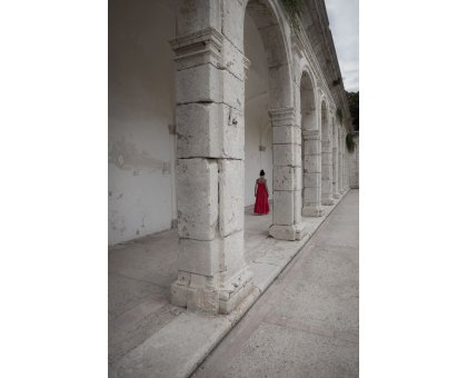 FOTOGRAFIA ROSSANA RUGGIERO ' RINASCITA 2 ' dimensioni L 70 x H 50 cm.