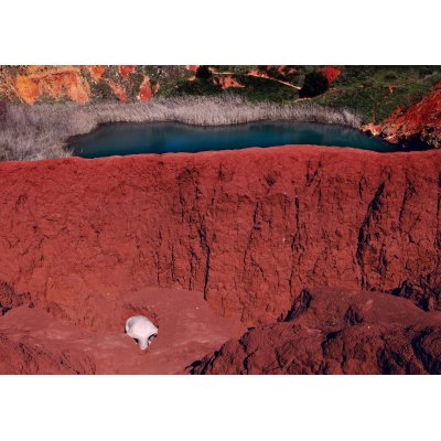 FOTOGRAFIA ROSSANA RUGGIERO ' SU MARTE 2 ' dimensioni L 70 x H 100 cm.