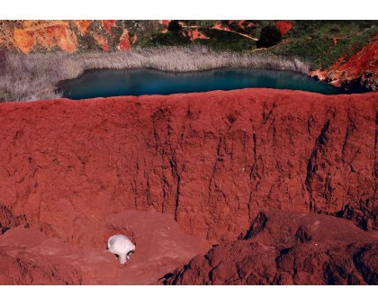 FOTOGRAFIA ROSSANA RUGGIERO ' SU MARTE 2 ' dimensioni L 70 x H 100 cm.