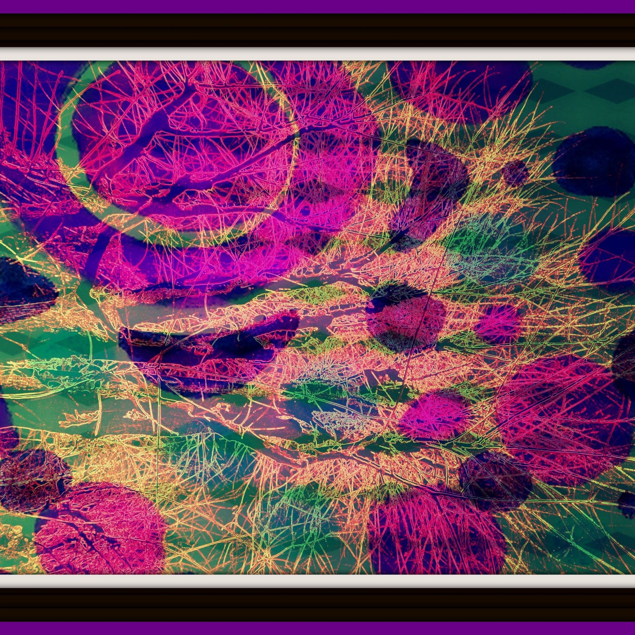 DIGITAL ART  ALESSANDRO  BESANA '  ACTIVE  SYNAPSES  '  dimensioni L 130 x H 100 cm.