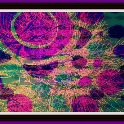 DIGITAL ART ALESSANDRO BESANA ' ACTIVE SYNAPSES ' dimensioni L 130 x H 100 cm.