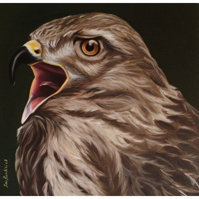 OLIO SU TELA SONIA FIACCHINI ' FALCO ' dimensioni L 50 x H 50 cm.