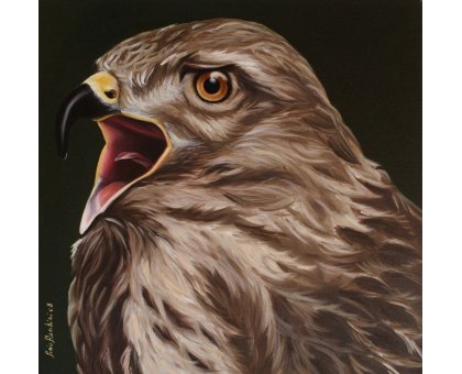 OLIO SU TELA SONIA FIACCHINI ' FALCO ' dimensioni L 50 x H 50 cm.