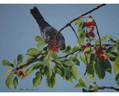 OLIO SU TELA SONIA FIACCHINI ' MERLO ' dimensioni L 30 x H 40 cm.