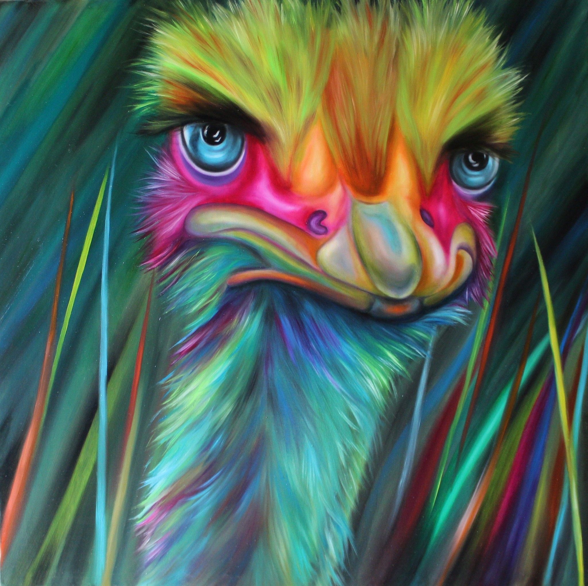 OLIO SU TELA  GIUSI  VELLONI ' LO STRUZZO INCAVOLATO  '  dimensioni L 80 x H 80 cm.