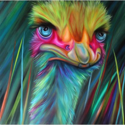 OLIO SU TELA GIUSI VELLONI ' LO STRUZZO INCAVOLATO ' dimensioni L 80 x H 80 cm.