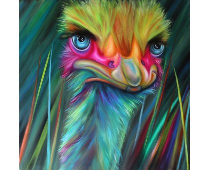 OLIO SU TELA GIUSI VELLONI ' LO STRUZZO INCAVOLATO ' dimensioni L 80 x H 80 cm.