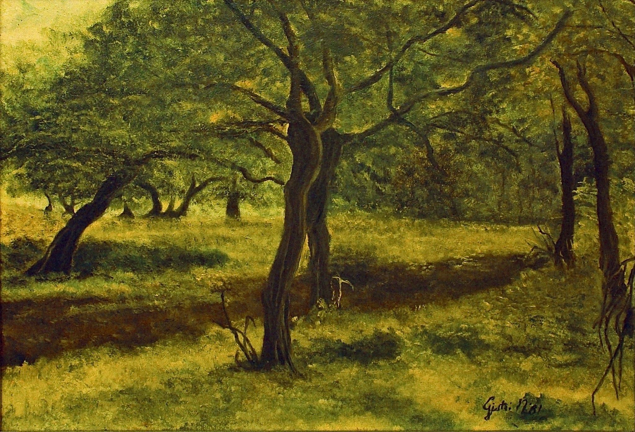OLIO SU TELA  NADIA GISTRI ' ULIVETO '  dimensioni L 50 x H 35 cm.