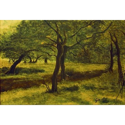 OLIO SU TELA NADIA GISTRI ' ULIVETO ' dimensioni L 50 x H 35 cm.