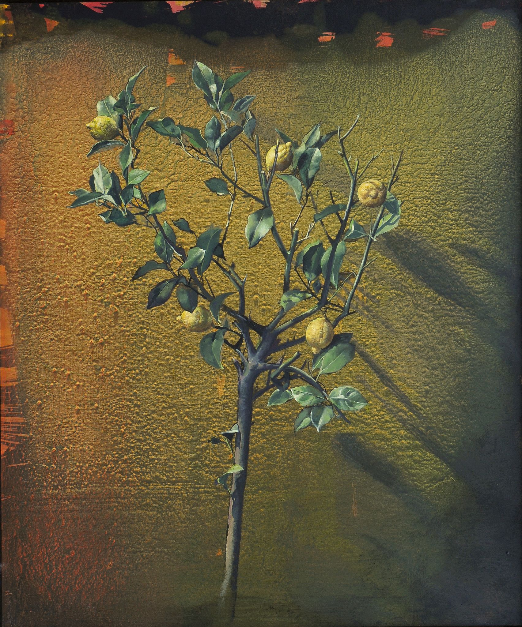 MIXED MEDIA MARIO MADIAI ' LIMONE '  dimensioni L 120 x H 120 cm.