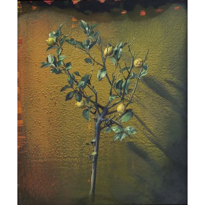 MIXED MEDIA MARIO MADIAI ' LIMONE ' dimensioni L 120 x H 120 cm.