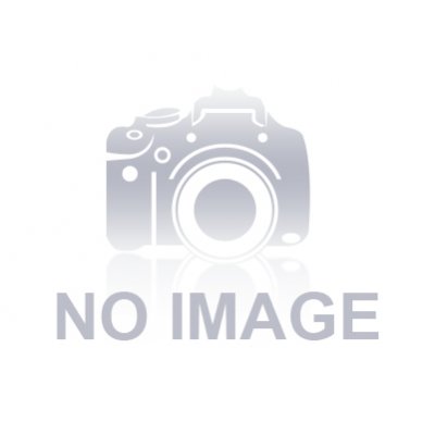 OLIO SU TELA ALESSANDRO AMOROSO ' CESTO UNICO ' dimensioni L 56 x H 41,5 cm.