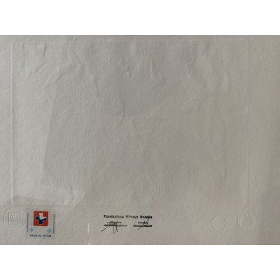 SERIGRAFIA MIMMO ROTELLA ' NIAGARA ' dimensioni L 52 x H 62 cm.