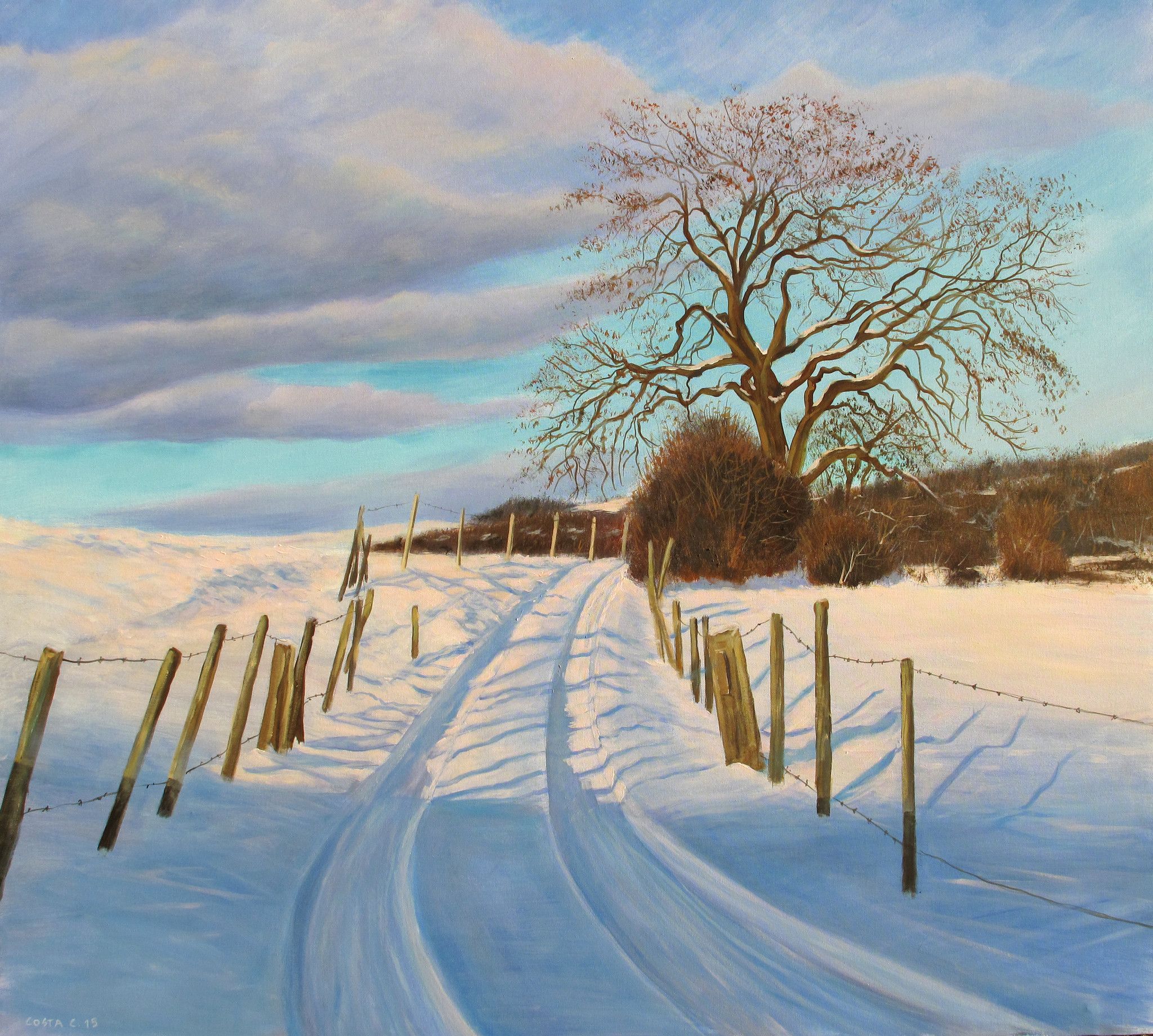 ACRYLIC ON CANVAS  CLAUDIO COSTA ' IL SENTIERO '  size  L 80 x H 70 cm.