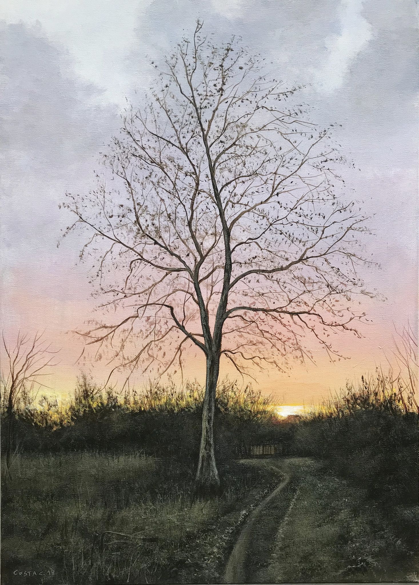 ACRILICO SU TELA CLAUDIO COSTA ' CUSTODE SENTIERO '  dimensioni L 40 x H 60 cm.