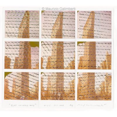 VINTAGE POLAROID MAURIZIO GALIMBERTI 'FLAT ON TABLE TAGE' dimensioni cm. 53x50