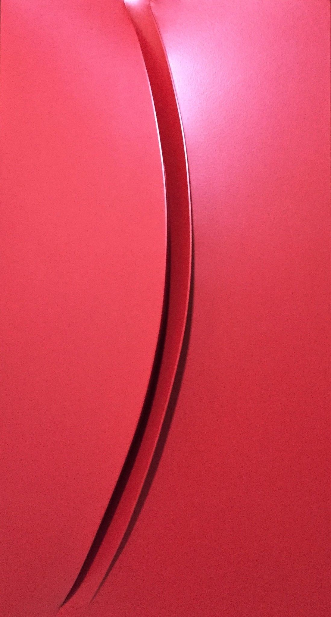 TELA ESTROFLESSA GIUSEPPE AMADIO " GLERI "  dimensioni L 71 x H 131 cm.