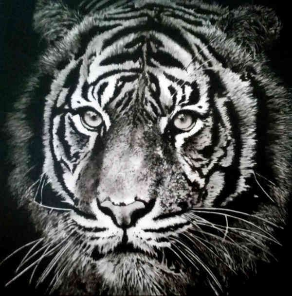 ACRILICO SU TELA  TIZIANA SANNA  ' DARK TIGER ' dimensioni L 100 x H 100  cm.