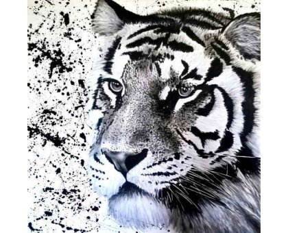 ACRILICO SU TELA TIZIANA SANNA ' SIBERIAN TIGER ' dimensioni L 100 x H 100 cm.