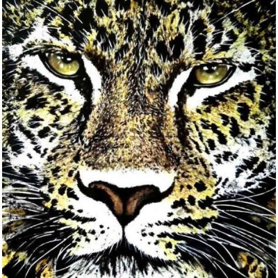 MIXED MEDIA SU TELA TIZIANA SANNA " GIAGUARO " dimensioni L 100 x H 100 cm.