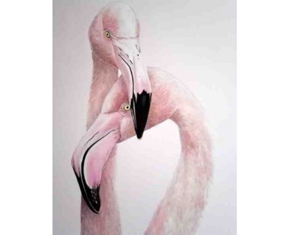 OLIO SU TELA TIZIANA SANNA " FENICOTTERI " dimensioni L 80 x H 100 cm.