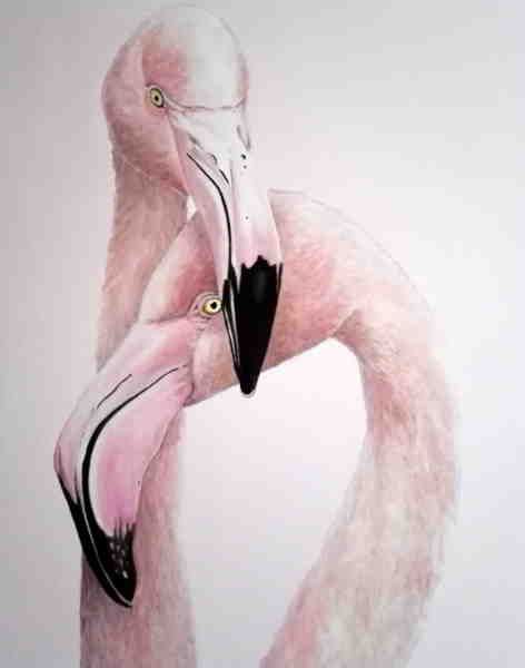 OLIO SU TELA  TIZIANA SANNA " FENICOTTERI " dimensioni  L 80 x H 100 cm.