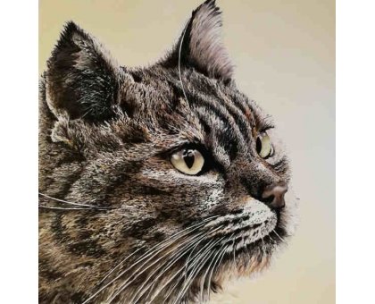 OLIO SU TELA TIZIANA SANNA " FELIS SILVESTRIS " dimensioni L 100 x H 100 cm.