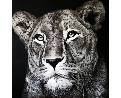 ACRILICO SU TELA TIZIANA SANNA ' LEONESSA ' dimensioni L 100 x H 100 cm.