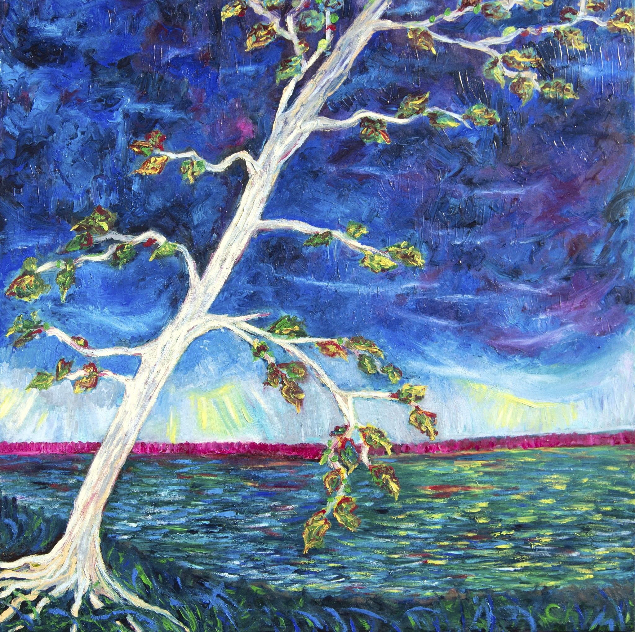 OLIO SU TELA CHIARA MAGNI ' PROFOUND ROOTS '  dimensioni L 100 x H 100 cm.