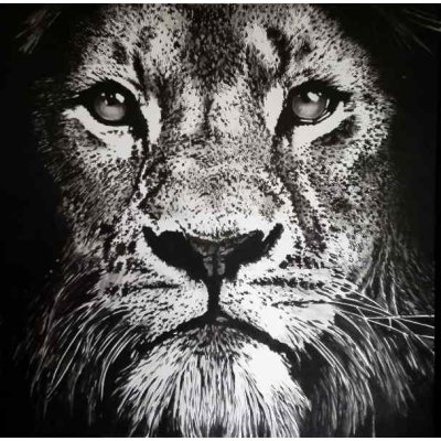 ACRILICO SU TELA TIZIANA SANNA ' LEONE ' dimensioni L 100 x H 100 cm.