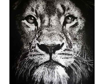 ACRILICO SU TELA TIZIANA SANNA ' LEONE ' dimensioni L 100 x H 100 cm.