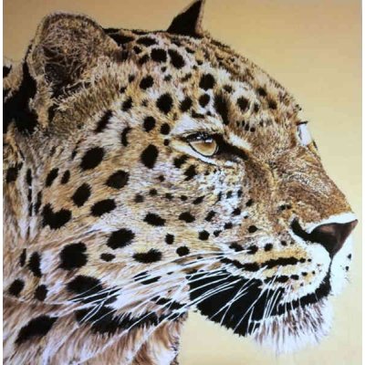 OLIO SU TELA TIZIANA SANNA ' LEOPARDO ' dimensioni L 100 x H 100 cm.