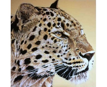 OLIO SU TELA TIZIANA SANNA ' LEOPARDO ' dimensioni L 100 x H 100 cm.