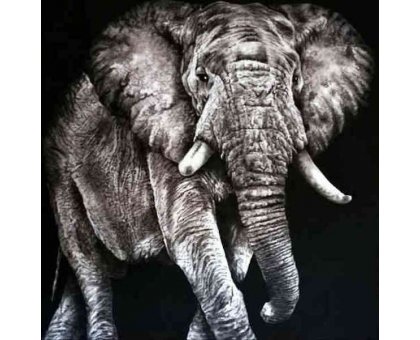 MIXED MEDIA TIZIANA SANNA " ELEFANTE " dimensioni L 100 x H 100 cm.