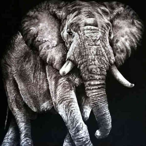 MIXED MEDIA  TIZIANA SANNA  " ELEFANTE "  dimensioni  L 100 x H 100 cm.