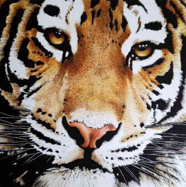 OLIO SU TELA  TIZIANA SANNA  ' TIGRE '  dimensioni  L 100 x H 100 cm.