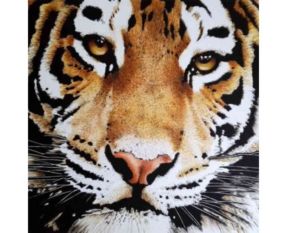 OLIO SU TELA TIZIANA SANNA ' TIGRE ' dimensioni L 100 x H 100 cm.