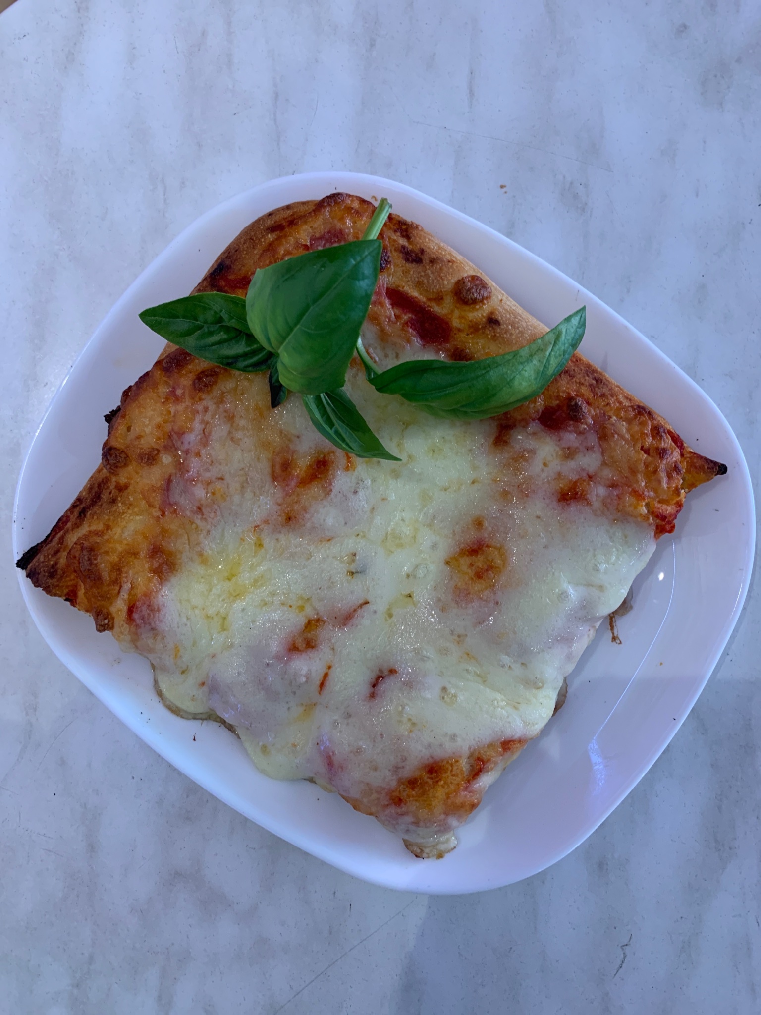 Pizza tradizionale margherita