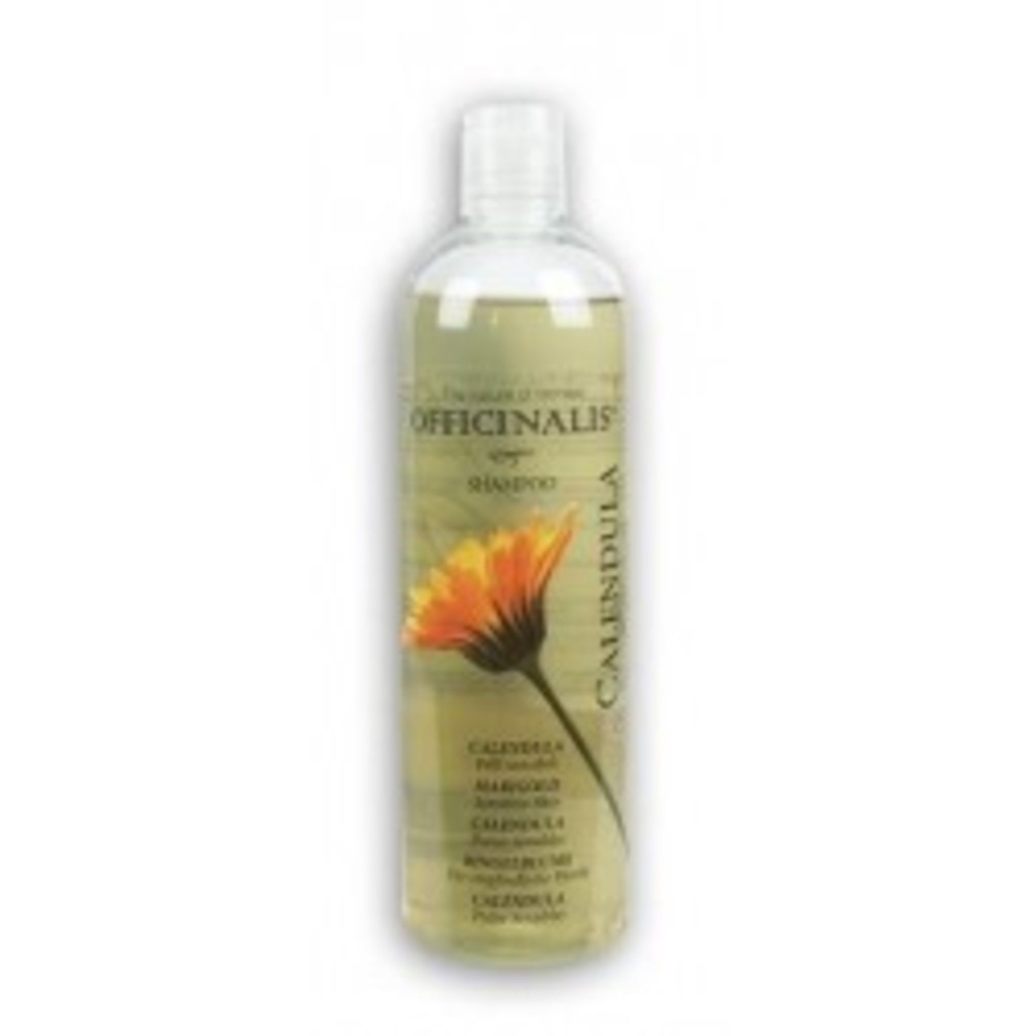 SHAMPOO CALENDULA