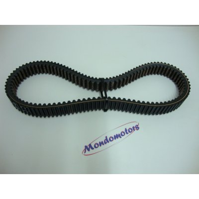 Cinghia Di Trasmissione Per Lynx